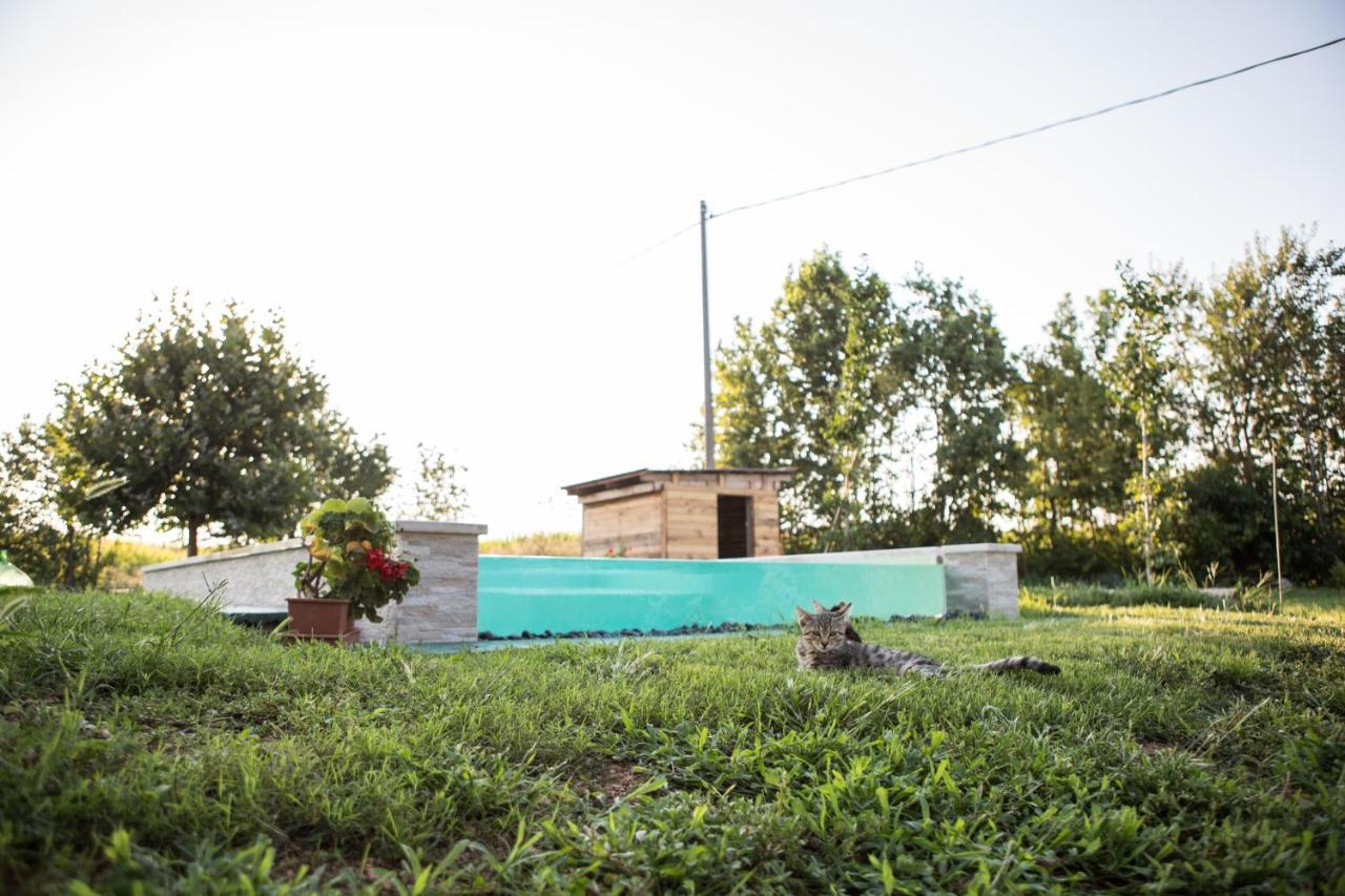 B&B Casa Campagnari Roverbella Esterno foto